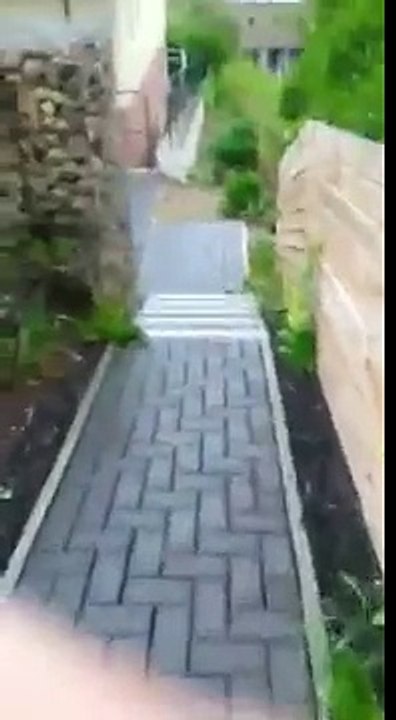 Puppy surprise 2015!