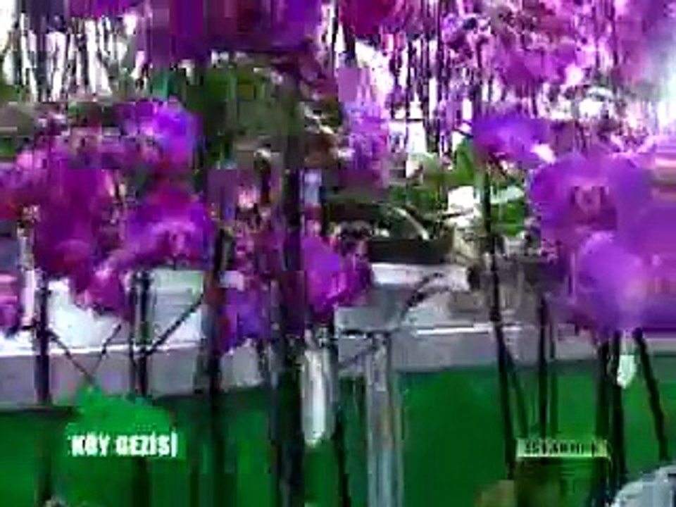 248 İstanbul Flowers