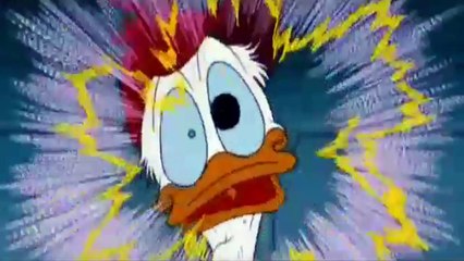 Donald Duck -  No Hunting