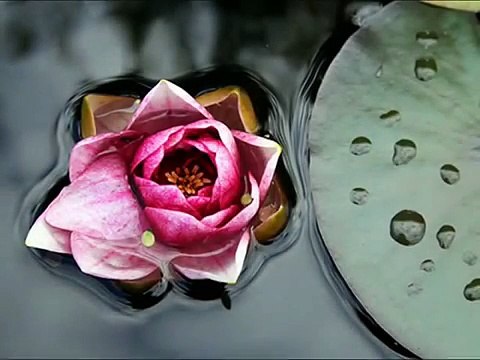 İntizar - Sensiz Olamam