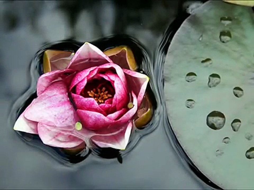 İntizar - Sensiz Olamam