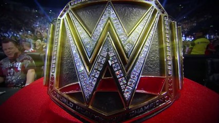 Watch WWE Survivor Series 2015 this Sunday on the award winning WWE Network