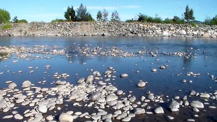 Destrucción del Río Cautín de Lautaro  "¿DONDE ESTAN LAS ARENAS?"