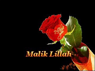 Sunan Na Sadaien Taan Marzi - Talib Hussain Dard