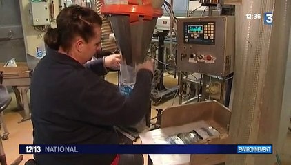 Près de La Rochelle, une entreprise recycle les coquilles d'huîtres