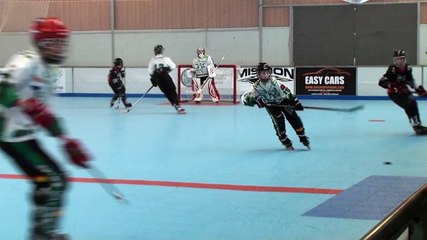 Download Video: Championnat roller hockey minimes 13 décembre 2015