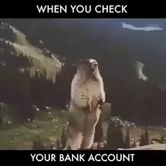 Quand tu consultes ton compte bancaire après les shooping..