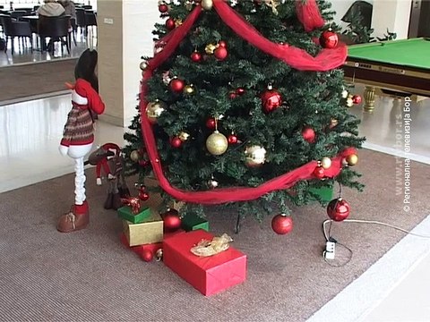 Bor sve atraktivnija destinacija za turiste, 02. januar 2016. (RTV Bor)