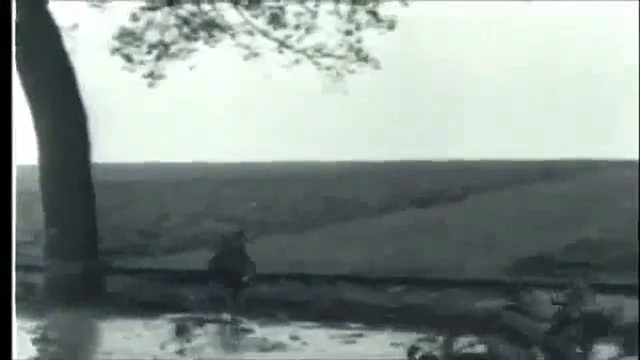 FRONTLINE WWII: U.S. 9th Army: Aachen To The Roer River (720p)