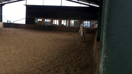 ETALON DE 8 ANS PETITE TAILLE POLYVALENT LIBERTE