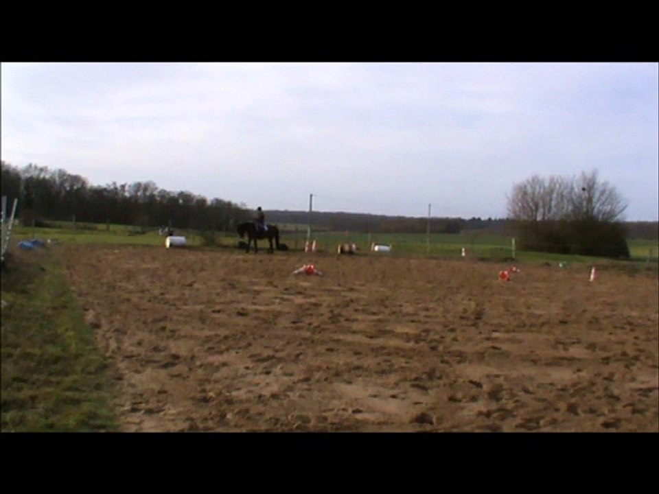 Volt en selle 31.12.15