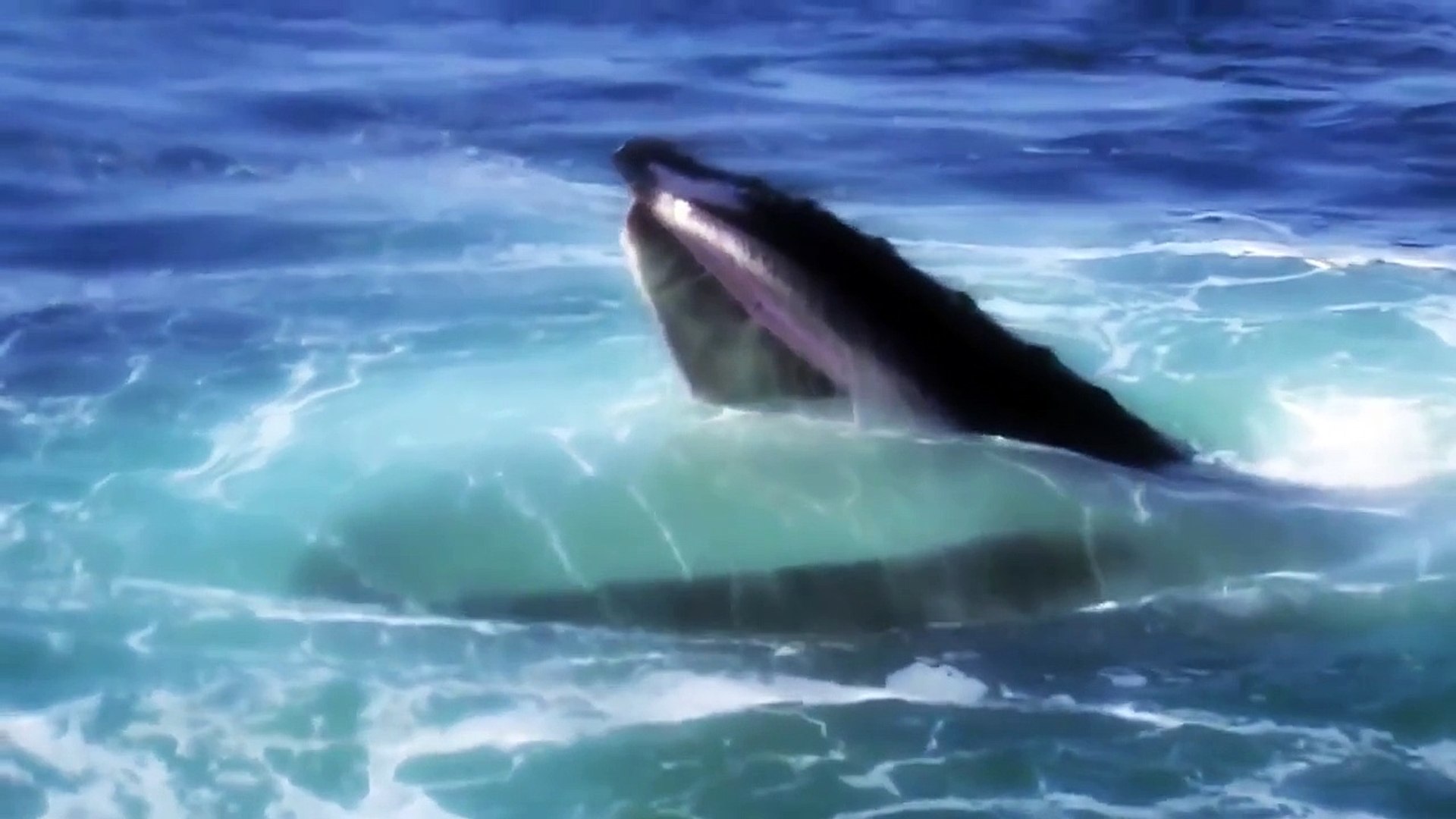 [HD Documentary] Deep Ocean Voyager 1080p (Nature Documentary)