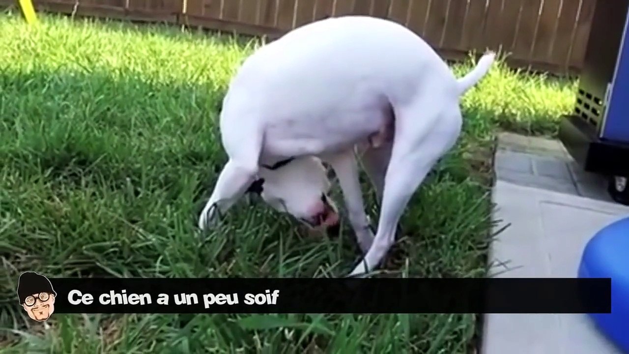 Petit florilège du web 2015 - Best of