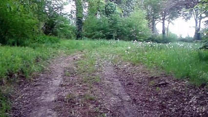 Verger de St Aubin Château Neuf le 8 Mai 2015 (01)