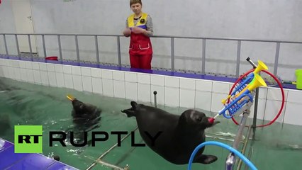 Super cute Baikal seals master sax playing & painting