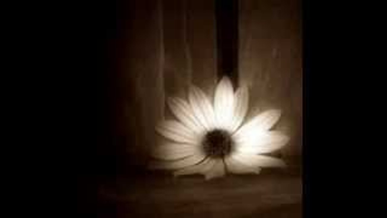 Ela gözlüm söyle aşkta yalan olur mu sanatçıLar şarkıLar Amatör