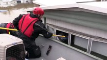 Cat rides out floods in a floating litter box