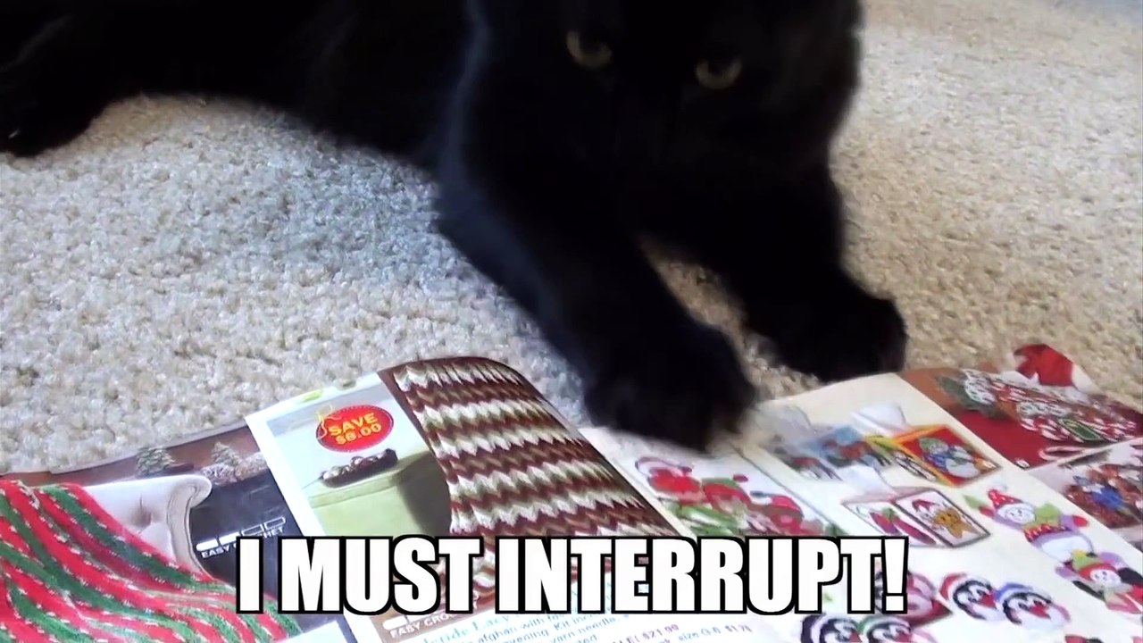 CAT LOGIC 2