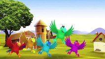 Finger Family Eagle Cartoon Nursery Rhymes _ Eagle 3D Animation Songs for Children , Online free 2016