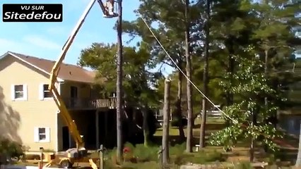 Bûcheron amateur manque de se faire écraser par un morceau d arbre