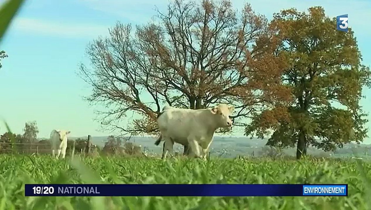 Environnement : quand les agriculteurs veulent réduire leur empreinte carbone