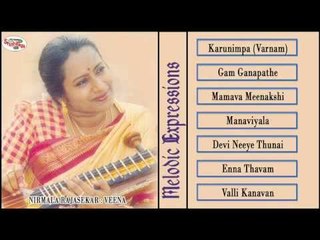 Melodic Expressions - Veena