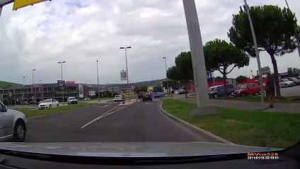 ДТП Авария  Как Лось Хотел Дорогу Перейти !?