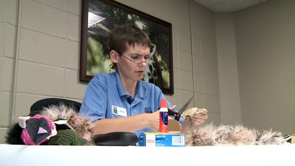 How to Make a Lion Sock Puppet   Black Forest Cobra through