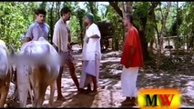 Malayalam Comedy Scenes | Old Generation Comedy Part 5 | Malayalam Movie Comedy Scenes