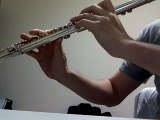 Nagai aida (by Kiroro) flute cover / 長い間 (Kiroro) フルートカバー