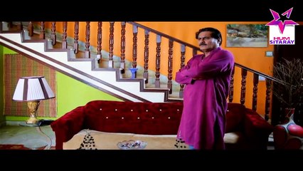 Chirryon Ka Chamba Episode 80 Full HUMSITARAY TV Drama 14 Aug 2015