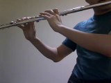 Ima sakihokoru hanatachiyo (by Kobukuro) flute cover / 今咲き誇る花たちよ(コブクロ)フルートカバー