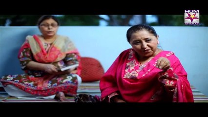 Chirryon Ka Chamba Episode 42 Full HUMSITARAY TV Drama 23 June 2015