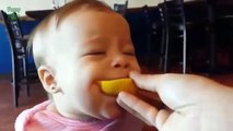 Babies Eating Lemons for the First Time Compilation 2014 [HD]