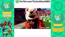 A.J. Green Highlights Vines Compilation: A.J. Green Football Vines Jukes, Catches & Celebrations