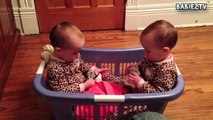 Funny Babies Talking to Each Other Compilation 2015 [HD VIDEO]