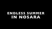 Endless summer Nosara
