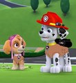 Paw Patrol Academy Game - Paw Patrol Cartoon Nick JR English - PAW Patrol Pups Save the Parade Part 2 #2