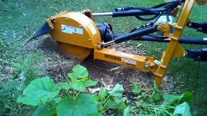 Stump grinding southside
