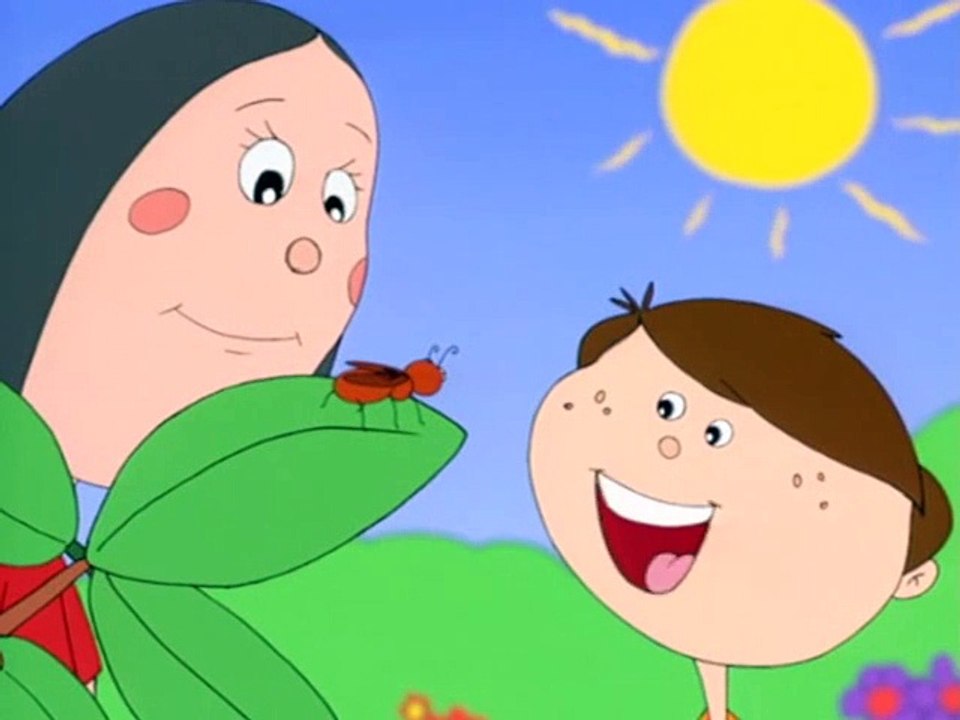 What Is An Insect
