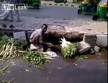 Man washing vegetables using sewerage water in India