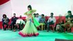 Desi Indian Girls Hot Dance - Must Watch