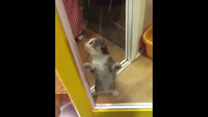 "Dancing By Myself" inst.  Otis Thick