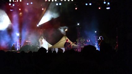 HOMMAGE - Michel Delpech en concert à la Seyne, le 13 août 2008 (extraits)