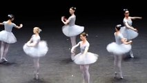 You’ve Never Seen A Ballet Performance Like This