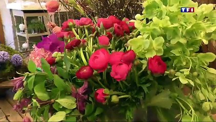 Journal de Jean-Pierre Pernaut, mardi 22 Avril 2014 avec estelle meunier destin d'une brindille