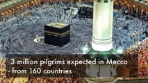 Hajj in numbers - in 60 seconds - BBC News