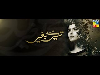 Tere Bagair Ost TItle Song Hum Tv Drama