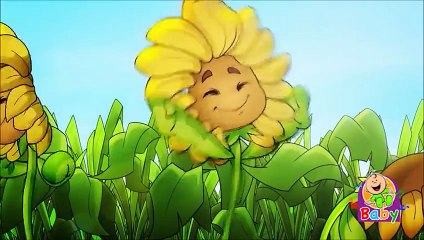 Chamoussa toyor baby شموسة - طيور الجنة - بيبي