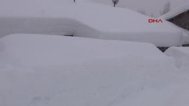 Bitlis Doğu'da Kar Esareti Sürüyor